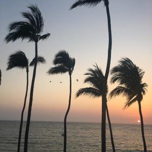 Hotel Rosita Puerto Vallarta Beach Sunset