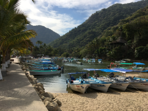 Boca De Tomatlan Water Taxis