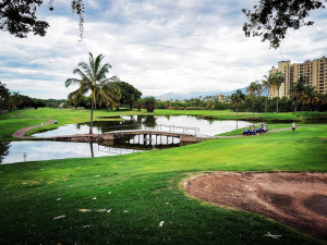 Golf Course At La Marina Puerto Vallarta