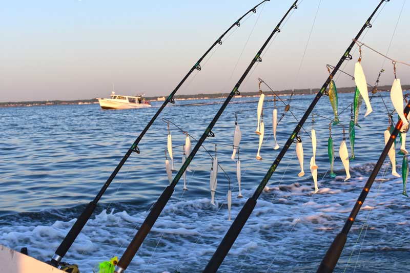 Trolling for southern blue fin tuna - Hooked Up Magazine