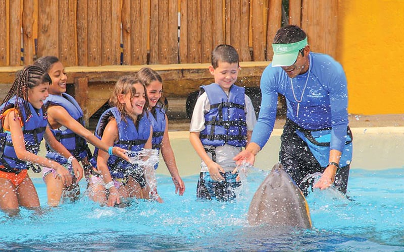 Dolphin Signature Swim Experience