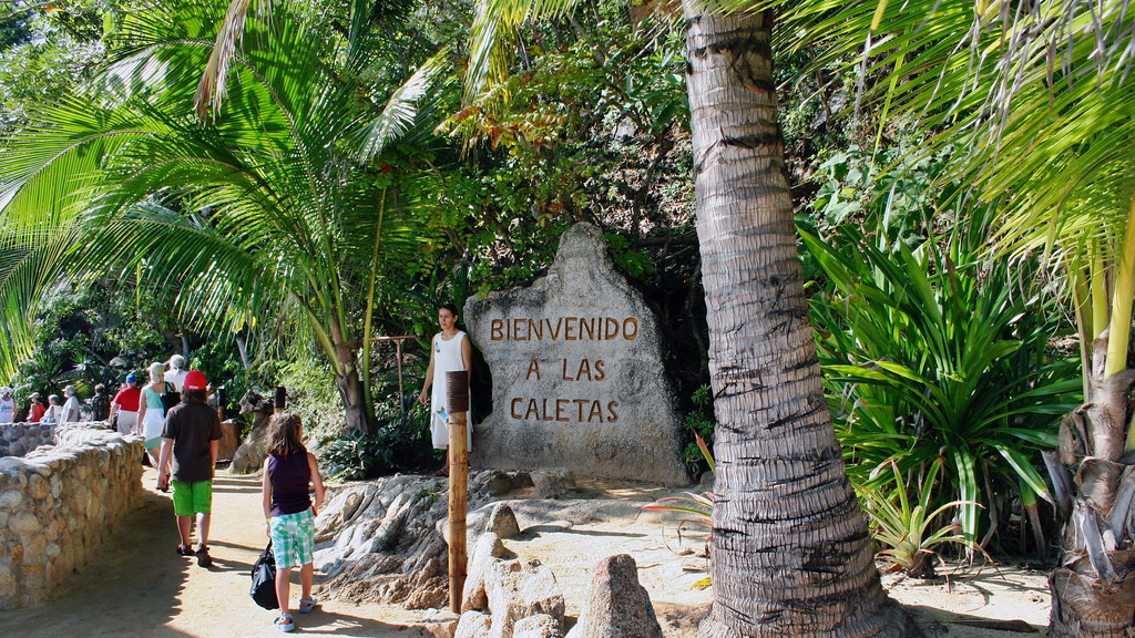 History Of Las Caletas Beach Puerto Vallarta