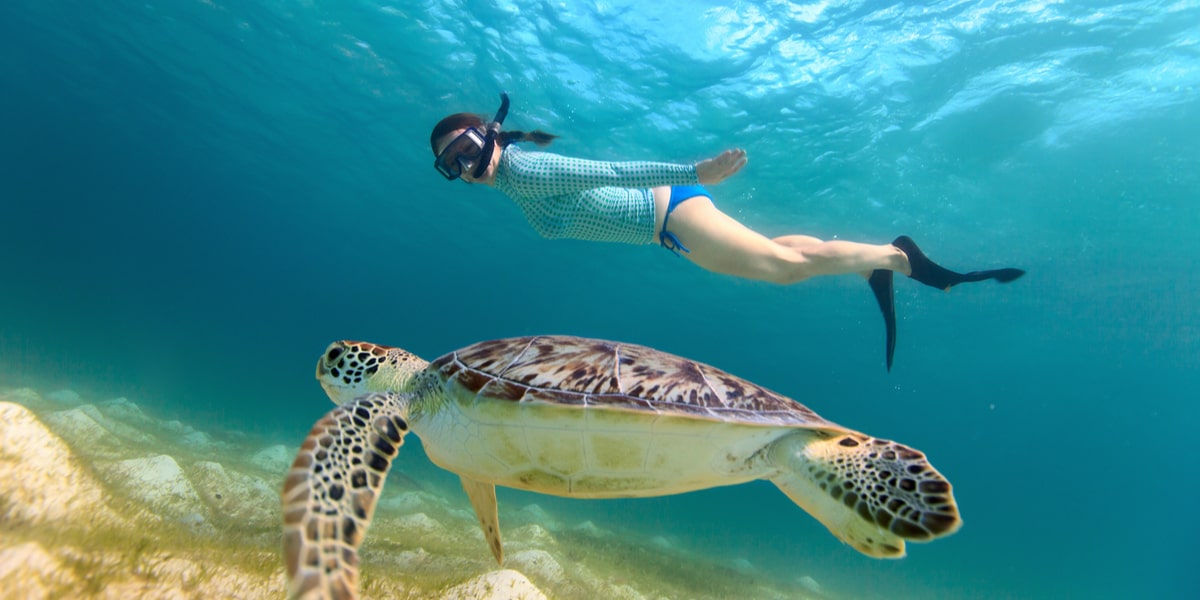 Snorkeling In Puerto Vallarta