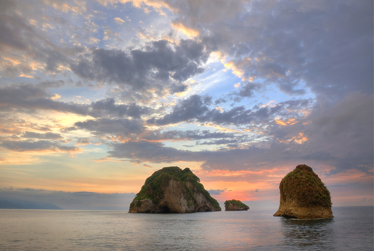 Los Arcos Puerto Vallarta Wildlife Diversity