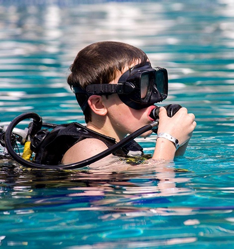 Scuba Diving In Puerto Vallarta Experience