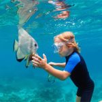 Snorkeling In Puerto Vallarta Underwater Wonders