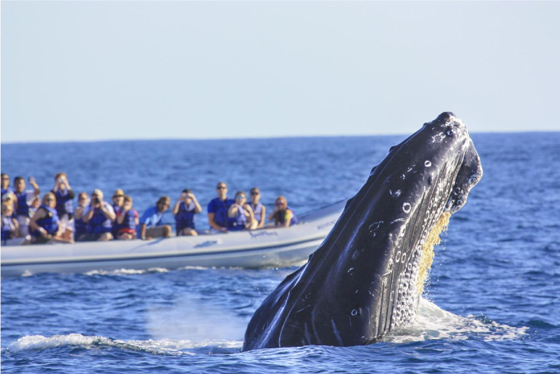 Adventure At Secrets Bahia Mita Puerto Vallarta