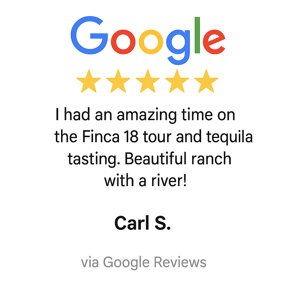GoogleReviews